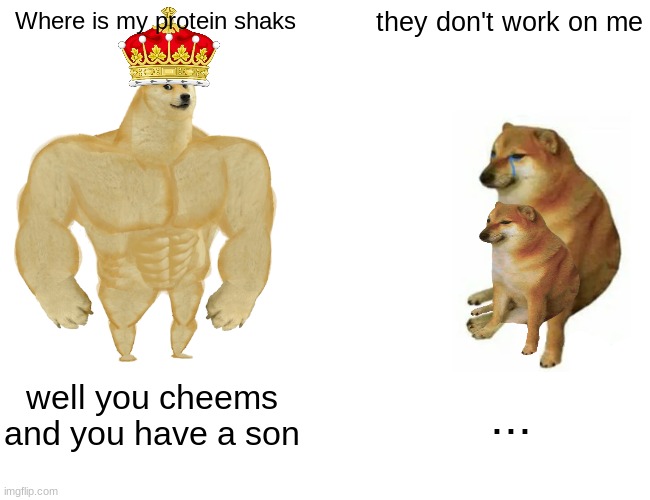 cheems vs king doge | Where is my protein shaks; they don't work on me; well you cheems and you have a son; ... | image tagged in memes,buff doge vs cheems | made w/ Imgflip meme maker
