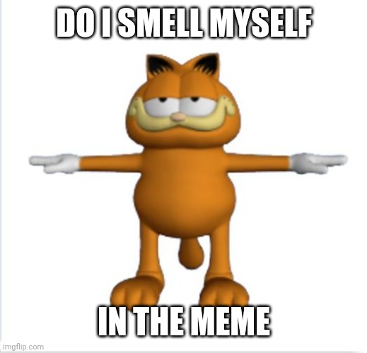 garfield t-pose | DO I SMELL MYSELF IN THE MEME | image tagged in garfield t-pose | made w/ Imgflip meme maker