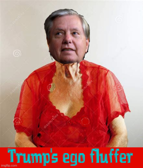 Trump's ego fluffer | image tagged in lindsey graham | made w/ Imgflip meme maker