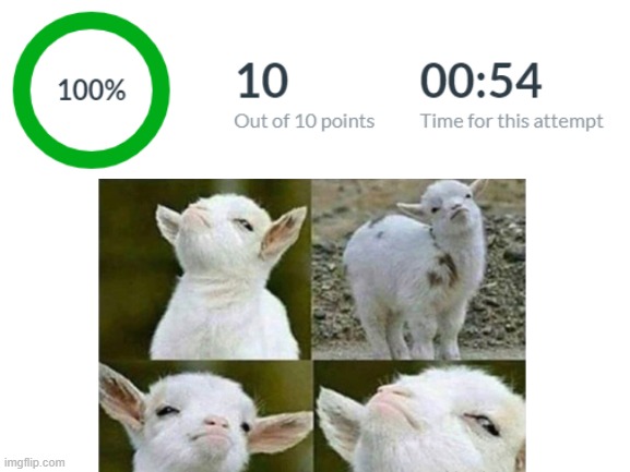 Intellec | image tagged in blank white template,victory,school,test,victory goat | made w/ Imgflip meme maker