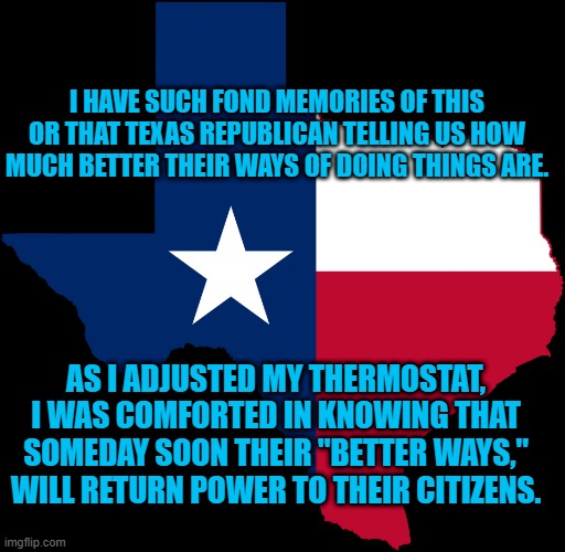 The Frozen Rose In Texas. | I HAVE SUCH FOND MEMORIES OF THIS OR THAT TEXAS REPUBLICAN TELLING US HOW MUCH BETTER THEIR WAYS OF DOING THINGS ARE. AS I ADJUSTED MY THERMOSTAT, I WAS COMFORTED IN KNOWING THAT SOMEDAY SOON THEIR "BETTER WAYS," WILL RETURN POWER TO THEIR CITIZENS. | image tagged in politics | made w/ Imgflip meme maker