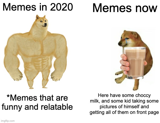 Buff dog vs. Cheems | Memes in 2020; Memes now; Here have some choccy milk, and some kid taking some pictures of himself and getting all of them on front page; *Memes that are funny and relatable | image tagged in memes,buff doge vs cheems | made w/ Imgflip meme maker