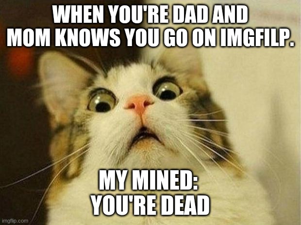 Imgfilp mom and dad knowing | WHEN YOU'RE DAD AND MOM KNOWS YOU GO ON IMGFILP. MY MINED: 
YOU'RE DEAD | image tagged in memes,scared cat | made w/ Imgflip meme maker