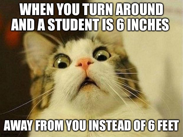 Lol | WHEN YOU TURN AROUND AND A STUDENT IS 6 INCHES; AWAY FROM YOU INSTEAD OF 6 FEET | image tagged in memes,scared cat | made w/ Imgflip meme maker