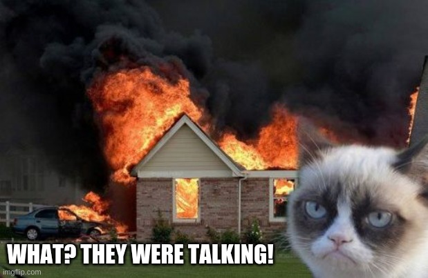 Burn Kitty Meme | WHAT? THEY WERE TALKING! | image tagged in memes,burn kitty,grumpy cat | made w/ Imgflip meme maker