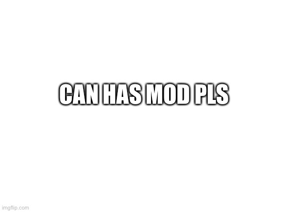 Can has mod pls | CAN HAS MOD PLS | image tagged in blank white template,hello | made w/ Imgflip meme maker