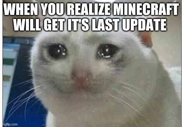 crying cat | WHEN YOU REALIZE MINECRAFT WILL GET IT'S LAST UPDATE | image tagged in crying cat | made w/ Imgflip meme maker