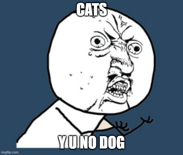 CATS; Y U NO DOG | image tagged in cats and dogs | made w/ Imgflip meme maker