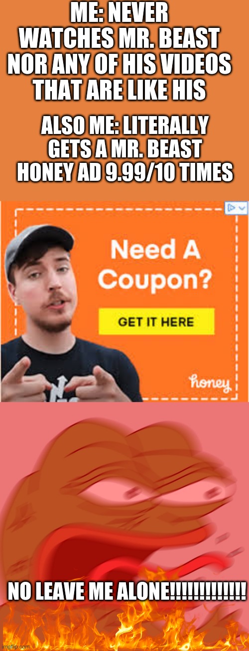 LEAVE ME BEEEE | ME: NEVER WATCHES MR. BEAST NOR ANY OF HIS VIDEOS THAT ARE LIKE HIS; ALSO ME: LITERALLY GETS A MR. BEAST HONEY AD 9.99/10 TIMES; NO LEAVE ME ALONE!!!!!!!!!!!!! | image tagged in reeeeeeeeeeeeeeeeeeeeee | made w/ Imgflip meme maker