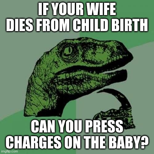 yes | IF YOUR WIFE DIES FROM CHILD BIRTH; CAN YOU PRESS CHARGES ON THE BABY? | image tagged in memes,philosoraptor,gifs | made w/ Imgflip meme maker