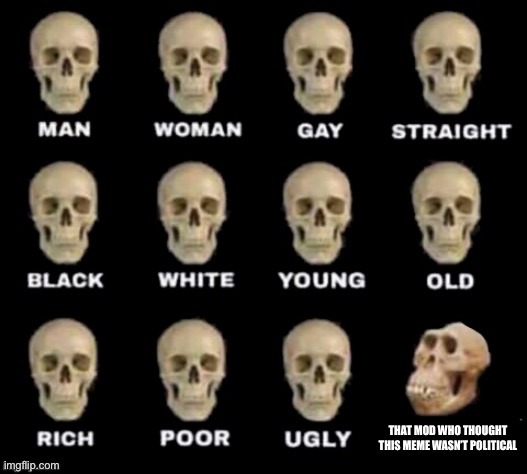 idiot skull | THAT MOD WHO THOUGHT THIS MEME WASN’T POLITICAL | image tagged in idiot skull | made w/ Imgflip meme maker