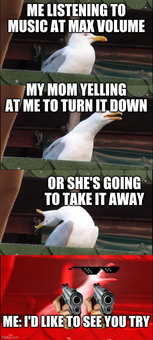 the truth will not set me free but I tried |  ME LISTENING TO MUSIC AT MAX VOLUME; MY MOM YELLING AT ME TO TURN IT DOWN; OR SHE'S GOING TO TAKE IT AWAY; ME: I'D LIKE TO SEE YOU TRY | image tagged in memes,inhaling seagull | made w/ Imgflip meme maker