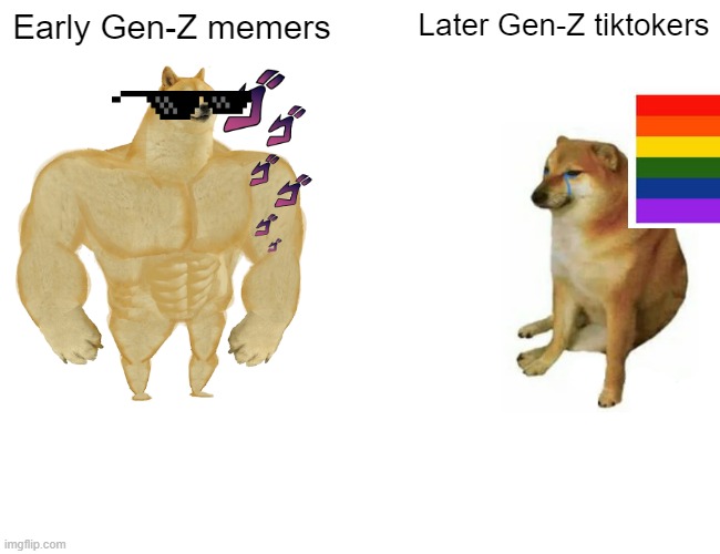ZA TRUTH | Early Gen-Z memers; Later Gen-Z tiktokers | image tagged in memes,buff doge vs cheems,the truth,tiktok sucks,memes rule | made w/ Imgflip meme maker
