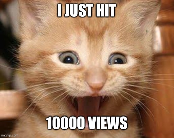 10000 Views | I JUST HIT; 10000 VIEWS | image tagged in memes,excited cat | made w/ Imgflip meme maker