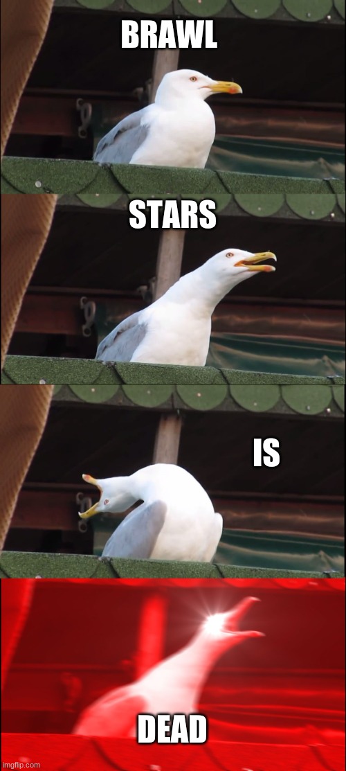 Inhaling Seagull | BRAWL; STARS; IS; DEAD | image tagged in memes,inhaling seagull | made w/ Imgflip meme maker