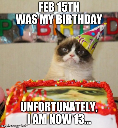 13! | FEB 15TH WAS MY BIRTHDAY; UNFORTUNATELY, I AM NOW 13... | image tagged in memes,grumpy cat birthday,grumpy cat | made w/ Imgflip meme maker