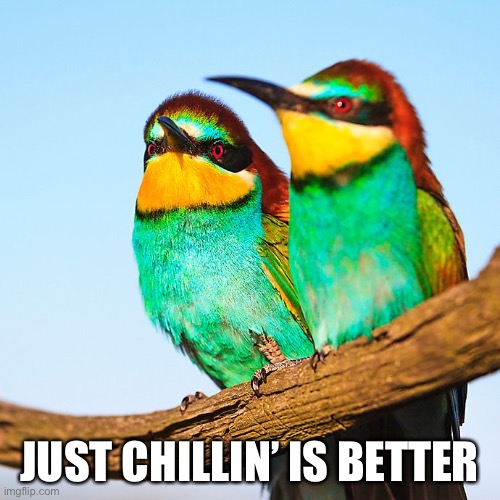 JUST CHILLIN’ IS BETTER | made w/ Imgflip meme maker