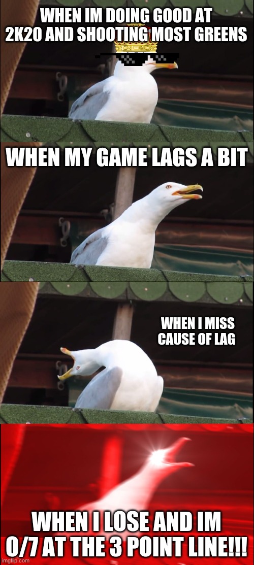 Inhaling Seagull | WHEN IM DOING GOOD AT 2K20 AND SHOOTING MOST GREENS; WHEN MY GAME LAGS A BIT; WHEN I MISS CAUSE OF LAG; WHEN I LOSE AND IM O/7 AT THE 3 POINT LINE!!! | image tagged in memes,inhaling seagull | made w/ Imgflip meme maker