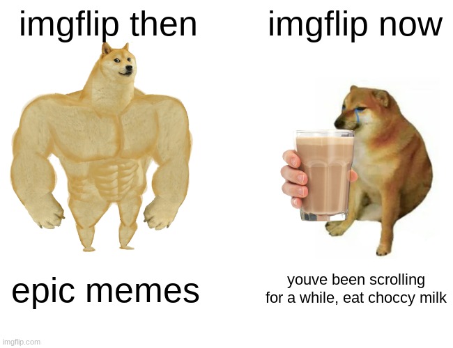 Buff Doge vs. Cheems | imgflip then; imgflip now; epic memes; youve been scrolling for a while, eat choccy milk | image tagged in memes,buff doge vs cheems | made w/ Imgflip meme maker