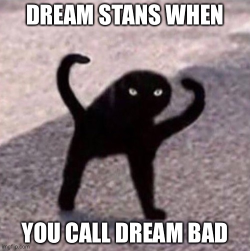 this is fax | DREAM STANS WHEN; YOU CALL DREAM BAD | image tagged in dream stans are bad | made w/ Imgflip meme maker