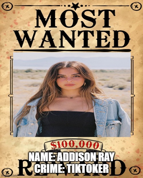 NAME: ADDISON RAY
CRIME: TIKTOKER | image tagged in memes,blank transparent square | made w/ Imgflip meme maker