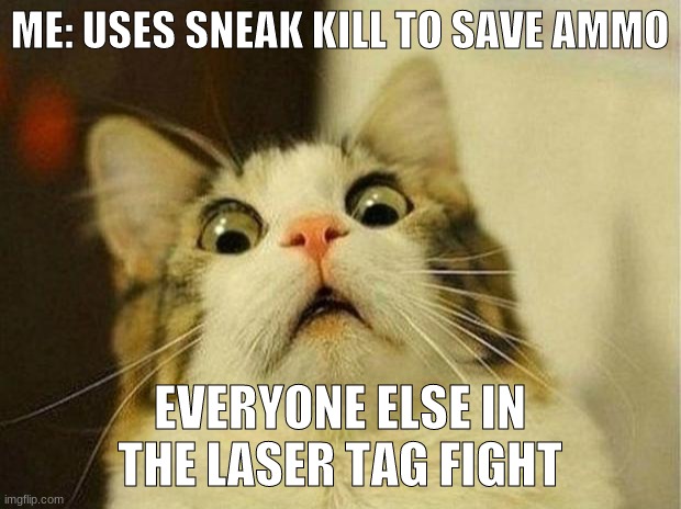 oh my | ME: USES SNEAK KILL TO SAVE AMMO; EVERYONE ELSE IN THE LASER TAG FIGHT | image tagged in memes,scared cat | made w/ Imgflip meme maker