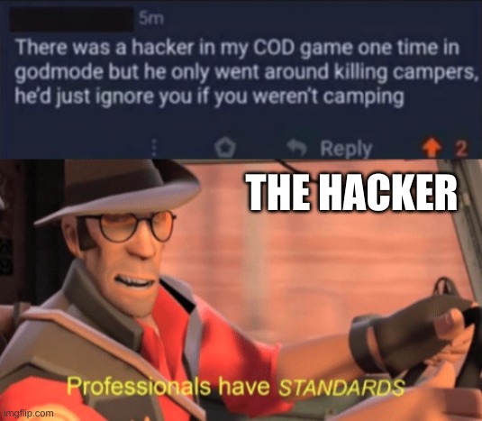 THE HACKER | image tagged in professionals have standards | made w/ Imgflip meme maker