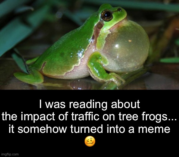 I was reading about the impact of traffic on tree frogs...
it somehow turned into a meme
? | made w/ Imgflip meme maker