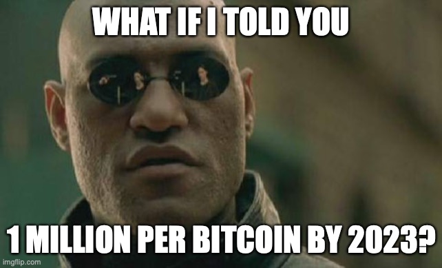 Matrix Morpheus Meme | WHAT IF I TOLD YOU; 1 MILLION PER BITCOIN BY 2023? | image tagged in memes,matrix morpheus | made w/ Imgflip meme maker