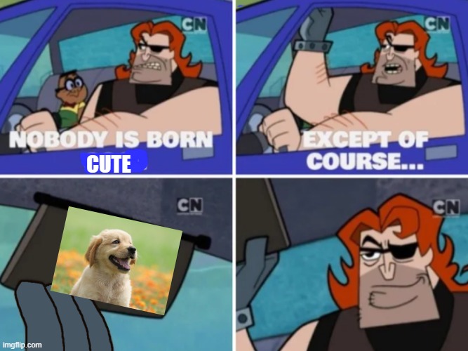 :) | CUTE | image tagged in nobody is born cool,dogs,cute puppies | made w/ Imgflip meme maker