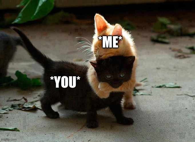 kitten hug | *YOU* *ME* | image tagged in kitten hug | made w/ Imgflip meme maker