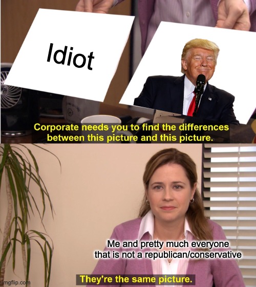 They're The Same Picture | Idiot; Me and pretty much everyone that is not a republican/conservative | image tagged in memes,they're the same picture | made w/ Imgflip meme maker