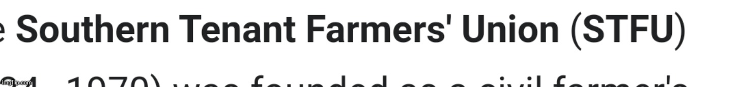Southern Tenant Farmers Union STFU | image tagged in stfu text | made w/ Imgflip meme maker