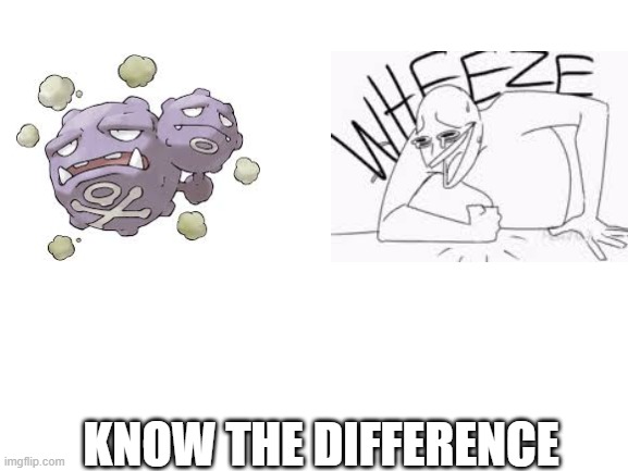 WHEEZE | KNOW THE DIFFERENCE | image tagged in blank white template | made w/ Imgflip meme maker