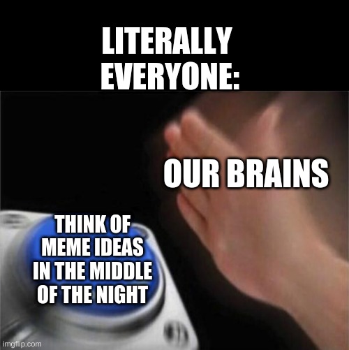 YeS | LITERALLY   EVERYONE:; OUR BRAINS; THINK OF MEME IDEAS IN THE MIDDLE OF THE NIGHT | image tagged in memes,blank nut button | made w/ Imgflip meme maker
