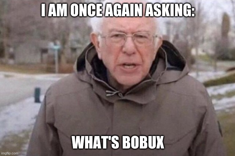 Bobux | I AM ONCE AGAIN ASKING:; WHAT'S BOBUX | image tagged in i am once again asking | made w/ Imgflip meme maker
