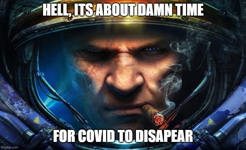 Starcraft | HELL, ITS ABOUT DAMN TIME; FOR COVID TO DISAPEAR | image tagged in starcraft | made w/ Imgflip meme maker