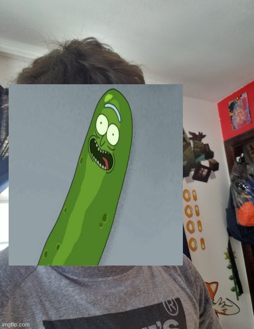 pickle | image tagged in pickle rick | made w/ Imgflip meme maker
