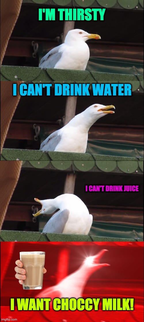 Inhaling Seagull | I'M THIRSTY; I CAN'T DRINK WATER; I CAN'T DRINK JUICE; I WANT CHOCCY MILK! | image tagged in memes,inhaling seagull | made w/ Imgflip meme maker