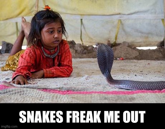 SNAKES FREAK ME OUT | made w/ Imgflip meme maker