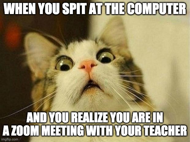 oof you! | WHEN YOU SPIT AT THE COMPUTER; AND YOU REALIZE YOU ARE IN A ZOOM MEETING WITH YOUR TEACHER | image tagged in memes,scared cat | made w/ Imgflip meme maker