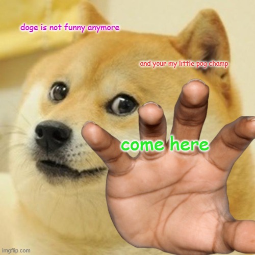 Its not funny anymore | doge is not funny anymore; and your my little pog champ; come here | image tagged in doge,not funny | made w/ Imgflip meme maker
