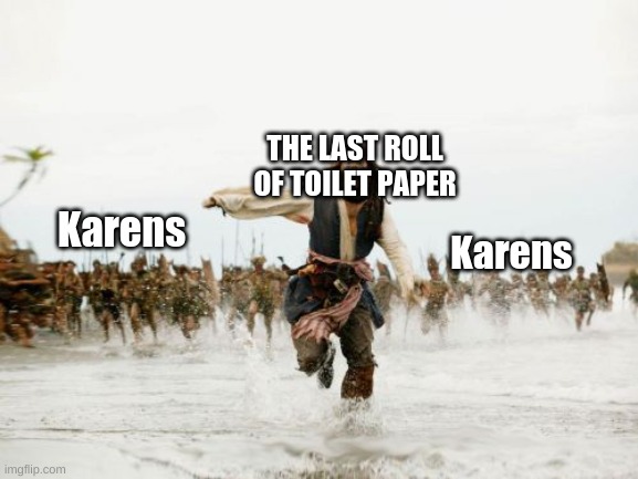 Karens need to change | THE LAST ROLL OF TOILET PAPER; Karens; Karens | image tagged in memes,jack sparrow being chased | made w/ Imgflip meme maker