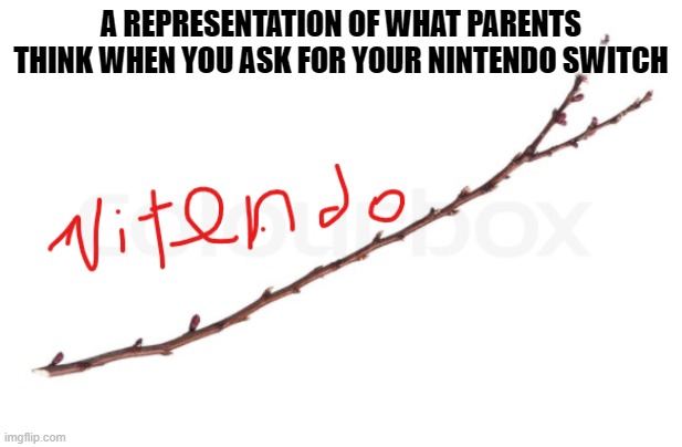 Nintendo switch | A REPRESENTATION OF WHAT PARENTS THINK WHEN YOU ASK FOR YOUR NINTENDO SWITCH | image tagged in funny | made w/ Imgflip meme maker