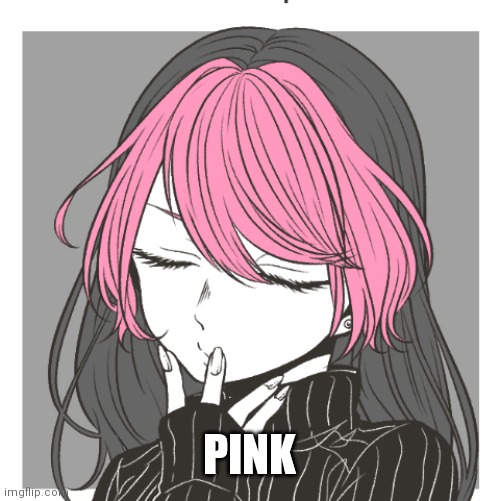 Her name is Pink. | PINK | made w/ Imgflip meme maker