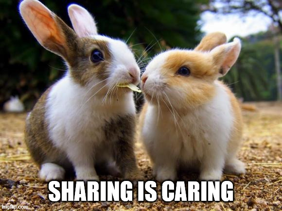 Sharing is Caring 2 | SHARING IS CARING | image tagged in sharing is caring 2 | made w/ Imgflip meme maker