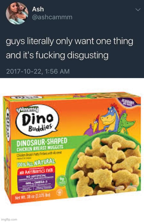 dino nuggies | image tagged in memes | made w/ Imgflip meme maker