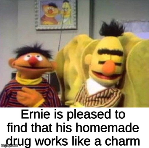 if bert only knew what would happen to him during his sleep | Ernie is pleased to find that his homemade drug works like a charm | image tagged in blank white template,memes | made w/ Imgflip meme maker