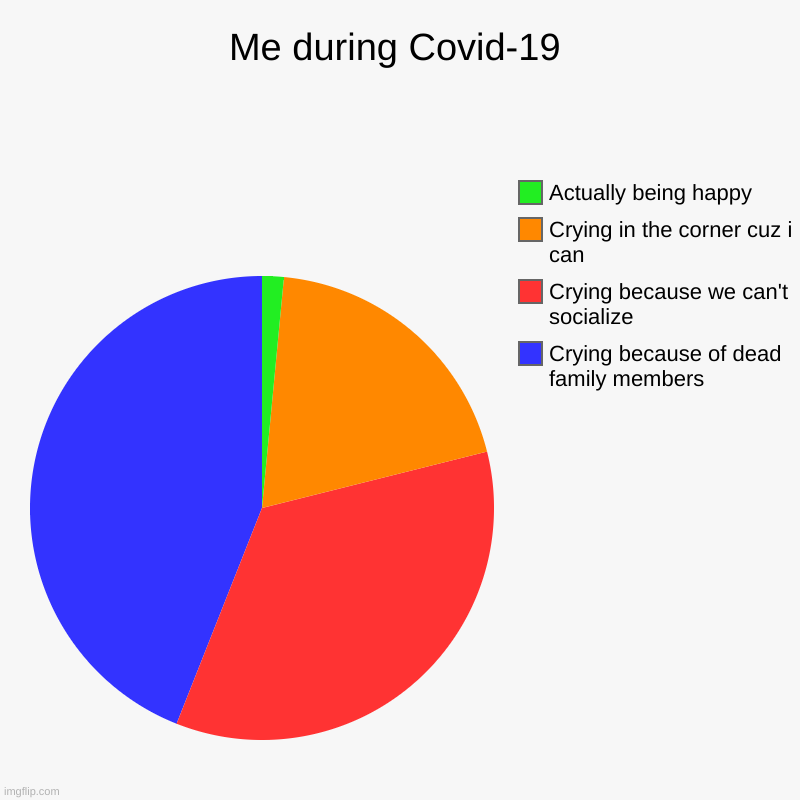 Me during Covid-19 | Crying because of dead family members, Crying because we can't socialize, Crying in the corner cuz i can, Actually bein | image tagged in charts,pie charts | made w/ Imgflip chart maker
