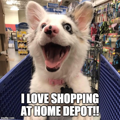 Home Depot | I LOVE SHOPPING AT HOME DEPOT!! | image tagged in building | made w/ Imgflip meme maker